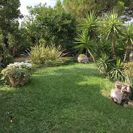 Bed & Breakfast Il Giardino Di Armida 2*